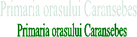 Primaria orasului Caransebes