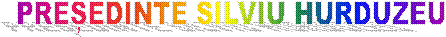 PREȘEDINTE SILVIU HURDUZEU