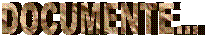 DOCUMENTE...