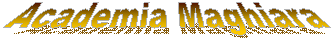 Academia Maghiara