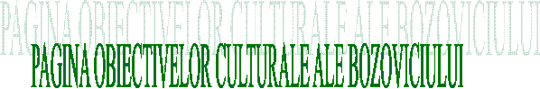 PAGINA OBIECTIVELOR CULTURALE ALE BOZOVICIULUI