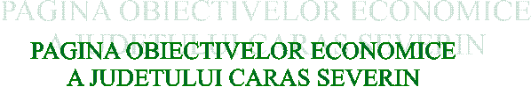 PAGINA OBIECTIVELOR ECONOMICE
A JUDETULUI CARAS SEVERIN