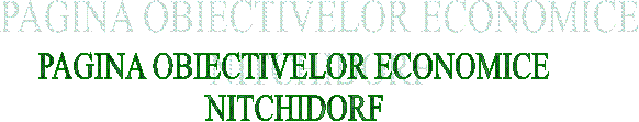 PAGINA OBIECTIVELOR ECONOMICE
NITCHIDORF