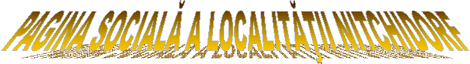 PAGINA SOCIALĂ A LOCALITĂŢII NITCHIDORF