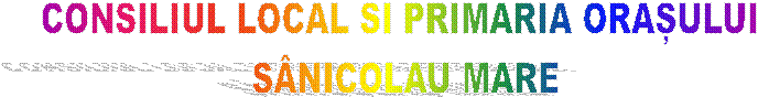 CONSILIUL LOCAL SI PRIMARIA ORAȘULUI 
S�NICOLAU MARE